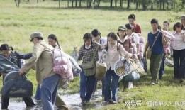 知青奇闻爆料视频,那些不为人知的奇闻轶事