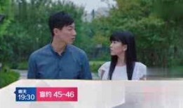 肓约电视剧在线观看,浪漫邂逅，揭秘都市爱情密码